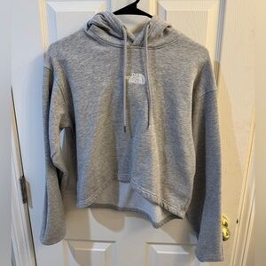 The north face relaxed hoodie